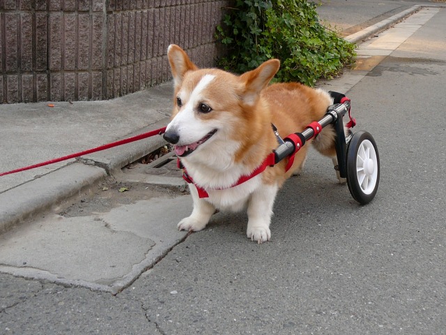 640×480-P1090110.jpg