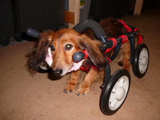 640×480-P1090375.jpg