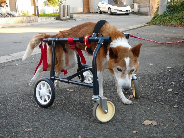 640×480-P1090438.jpg