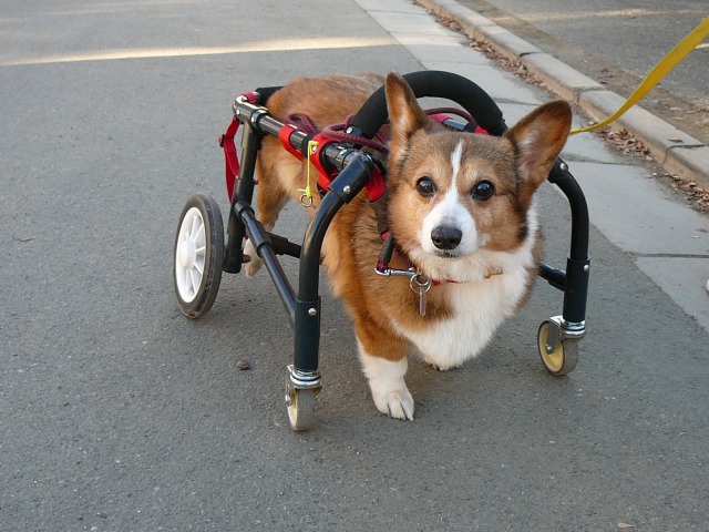 640×480-P1090454.jpg