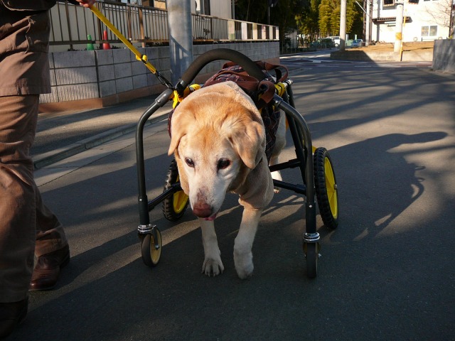 640×480-P1090576.jpg
