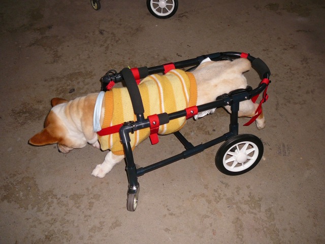 640×480-P1090666.jpg