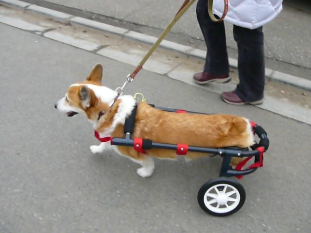 640×480-P1090890.jpg