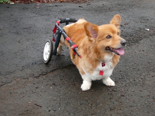 640×480-P1090897.jpg