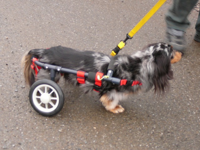 640×480-P1090908.jpg