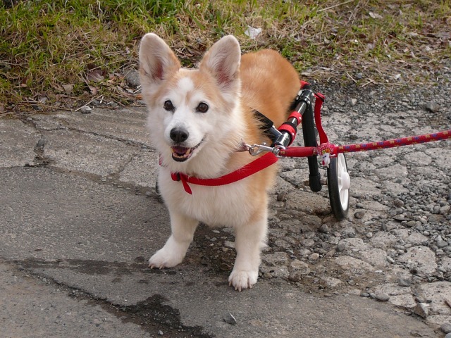 640×480-P1090971.jpg