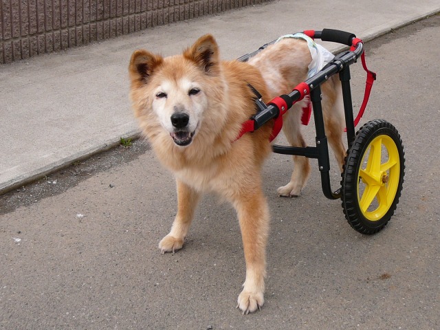 640×480-P1100100.jpg