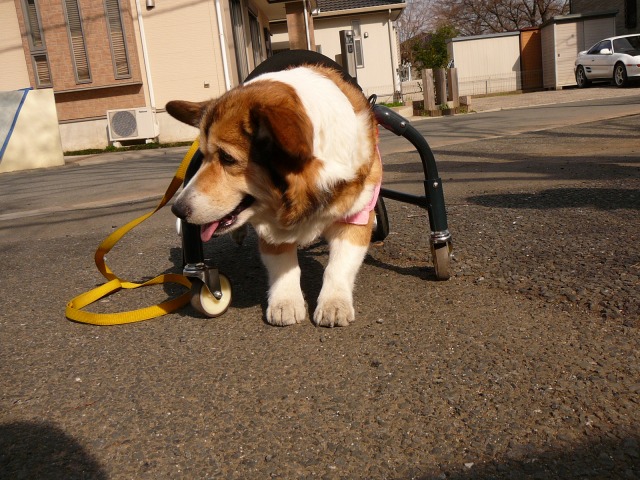 640×480-P1100124.jpg
