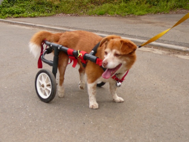 640×480-P1100263.jpg
