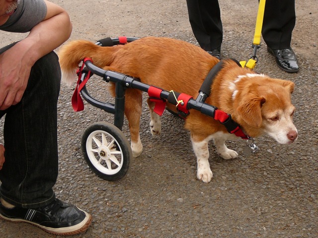 640×480-P1100266.jpg
