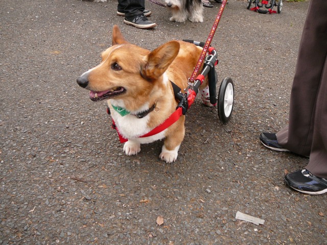 640×480-P1100268.jpg