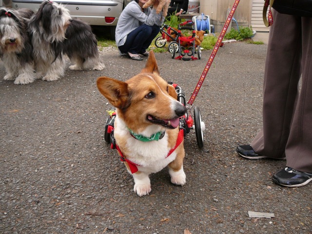 640×480-P1100271.jpg