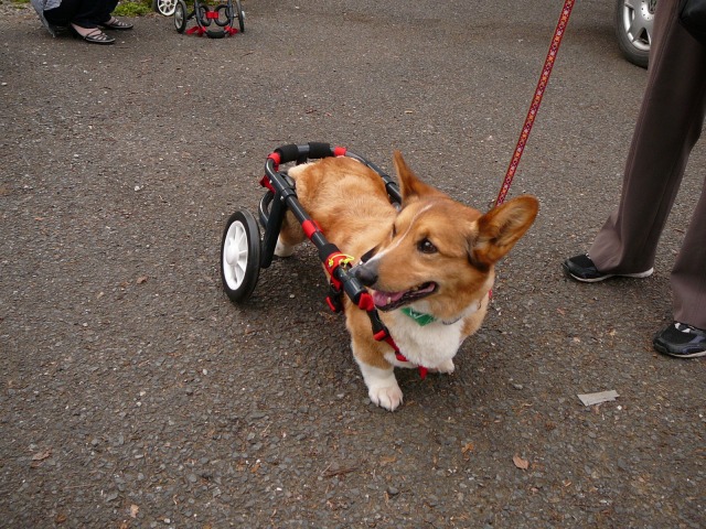 640×480-P1100272.jpg