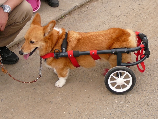 640×480-P1100274.jpg