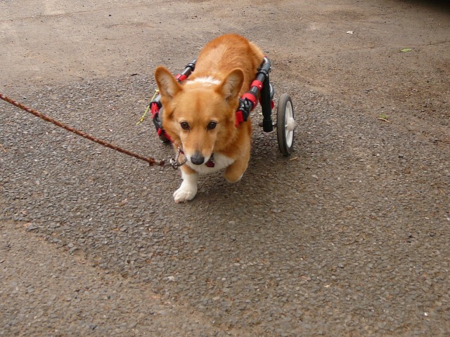640×480-P1100275.jpg