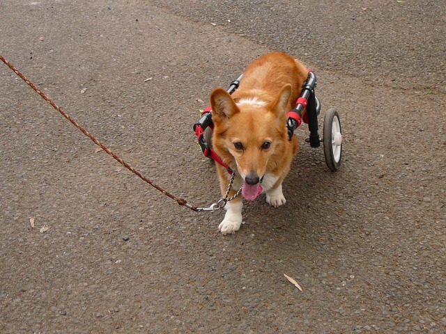 640×480-P1100276.jpg