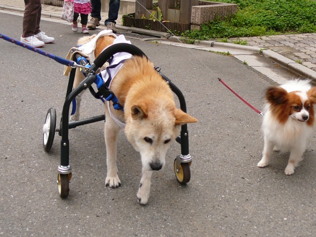 640×480-P1100342.jpg