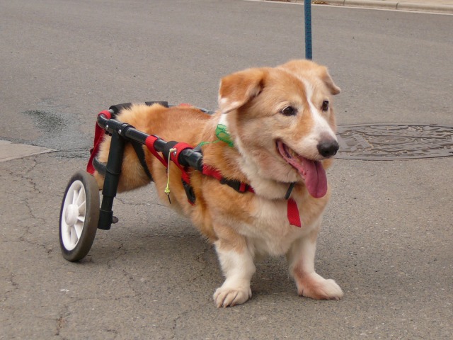 640×480-P1100402.jpg