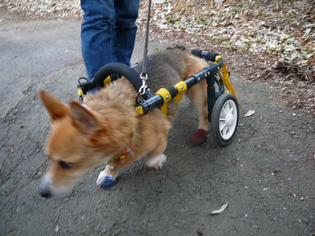 640×480-P1100429.jpg