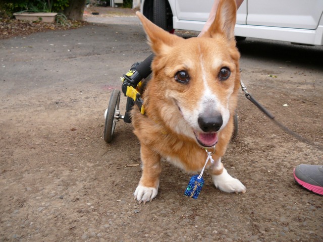 640×480-P1100430.jpg