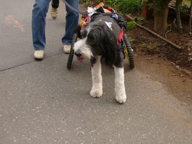 640×480-P1100436.jpg