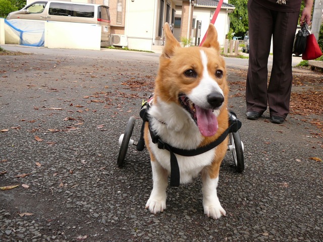 640×480-P1100622.jpg