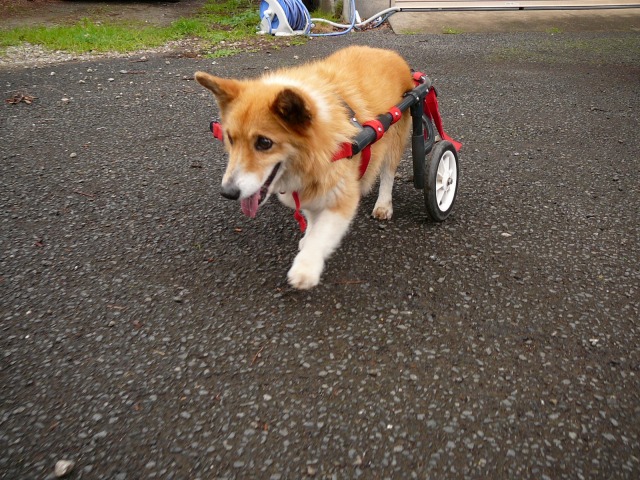 640×480-P1100822.jpg
