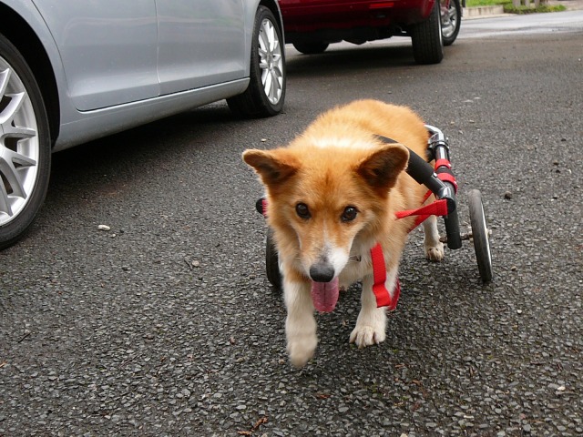 640×480-P1100824.jpg