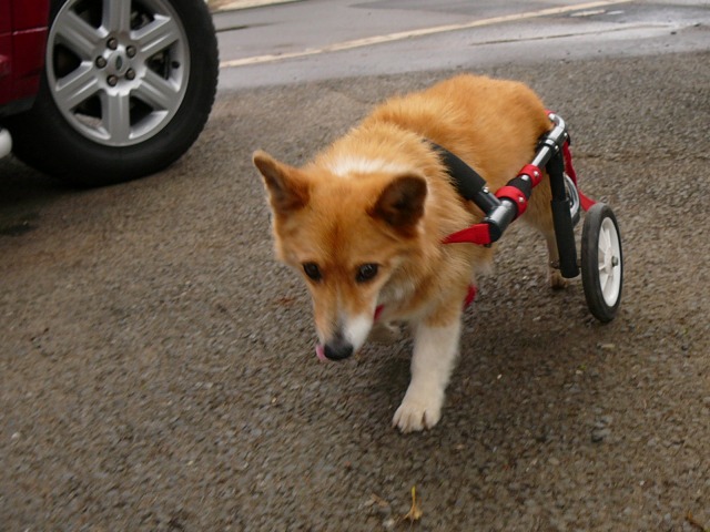 640×480-P1100827.jpg