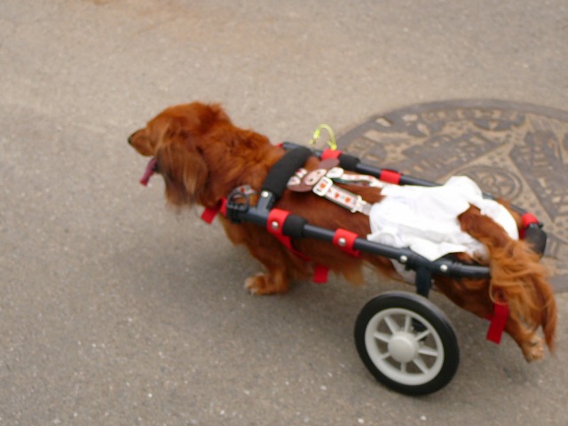 640×480-P1100841.jpg