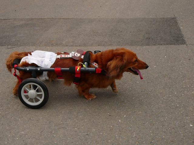 640×480-P1100842.jpg