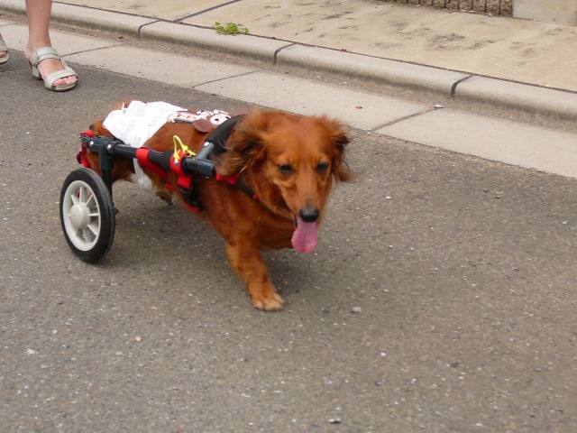 640×480-P1100843.jpg