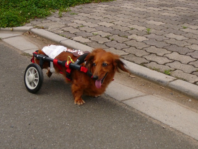 640×480-P1100844.jpg