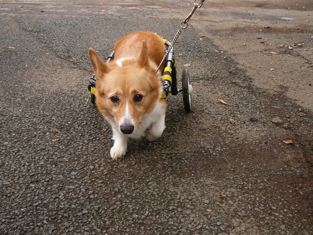 640×480-P1100908.jpg