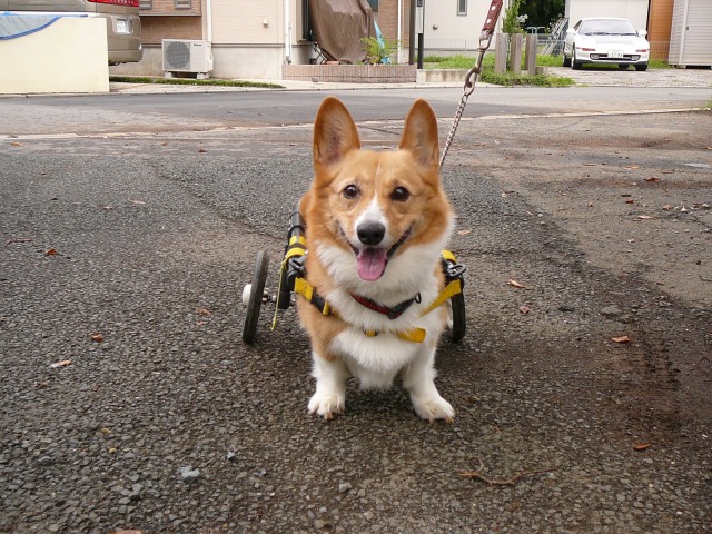 640×480-P1100910.jpg