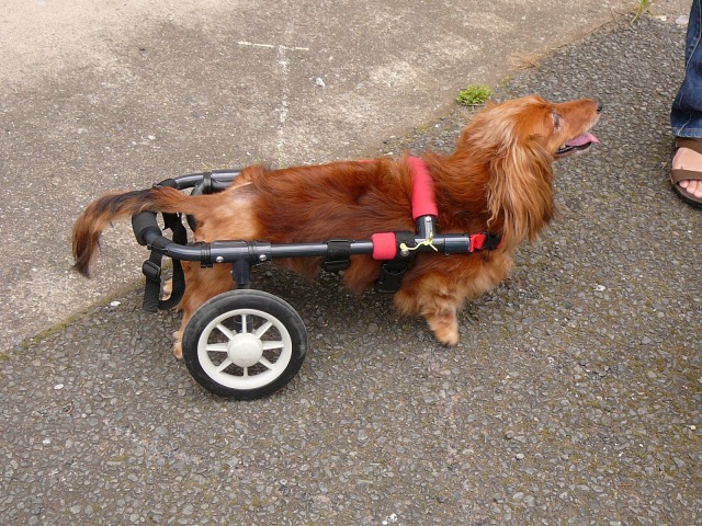 640×480-P1100926.jpg