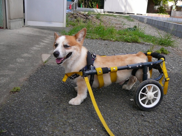 640×480-P1110022.jpg