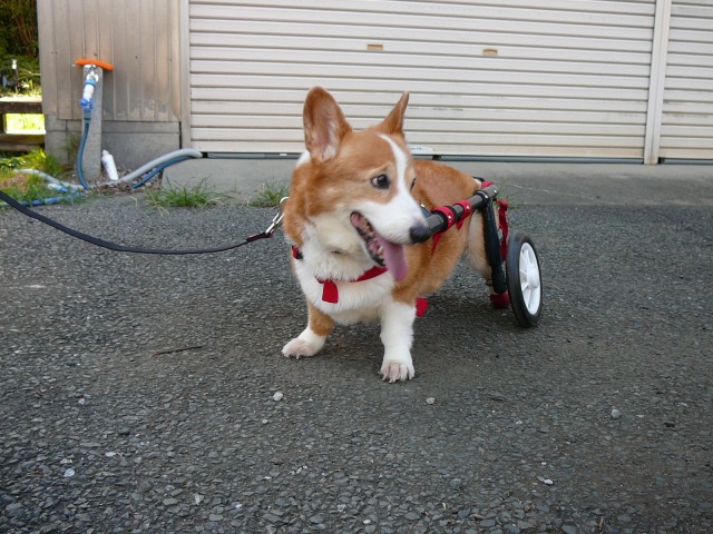 640×480-P1110032.jpg