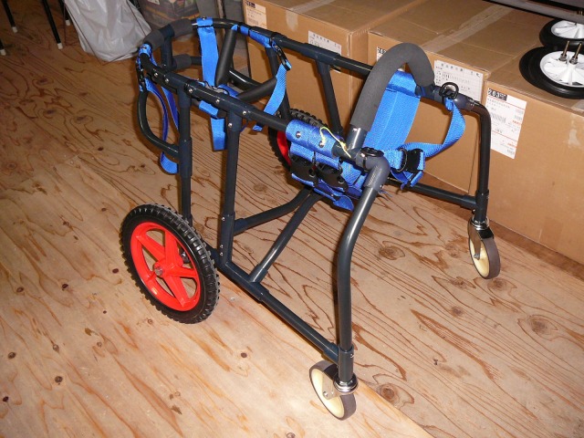 640×480-P1110066.jpg