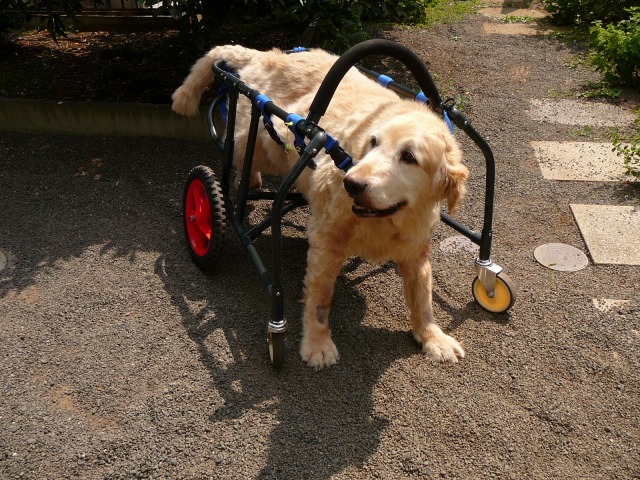 640×480-P1110076.jpg