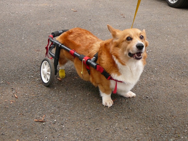 640×480-P1110088.jpg
