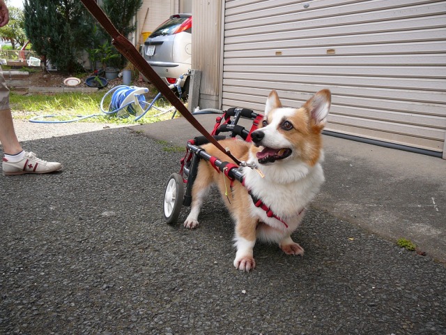 640×480-P1110108.jpg