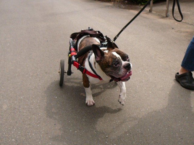 640×480-P1110134.jpg
