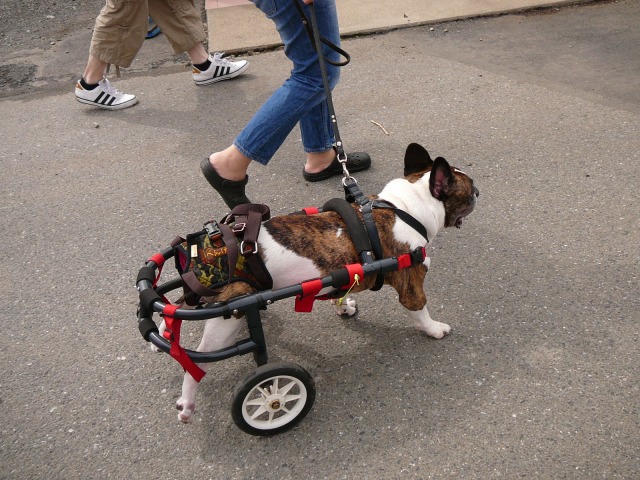640×480-P1110138.jpg