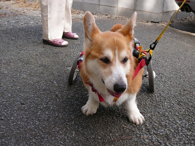 640×480-P1110173.jpg