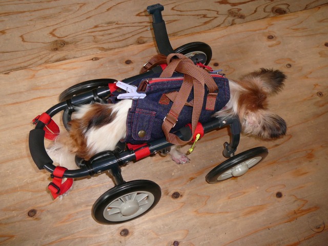640×480-P1110239.jpg