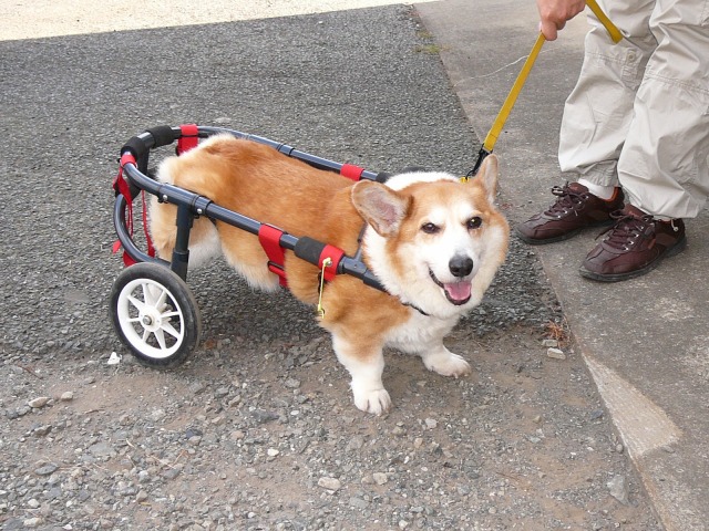 640×480-P1110255.jpg