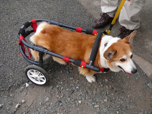 640×480-P1110257.jpg