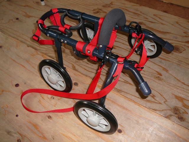 640×480-P1110265.jpg
