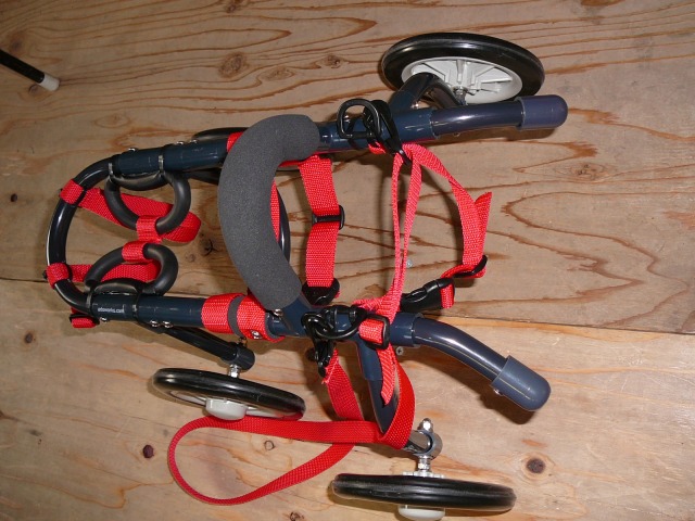 640×480-P1110267.jpg